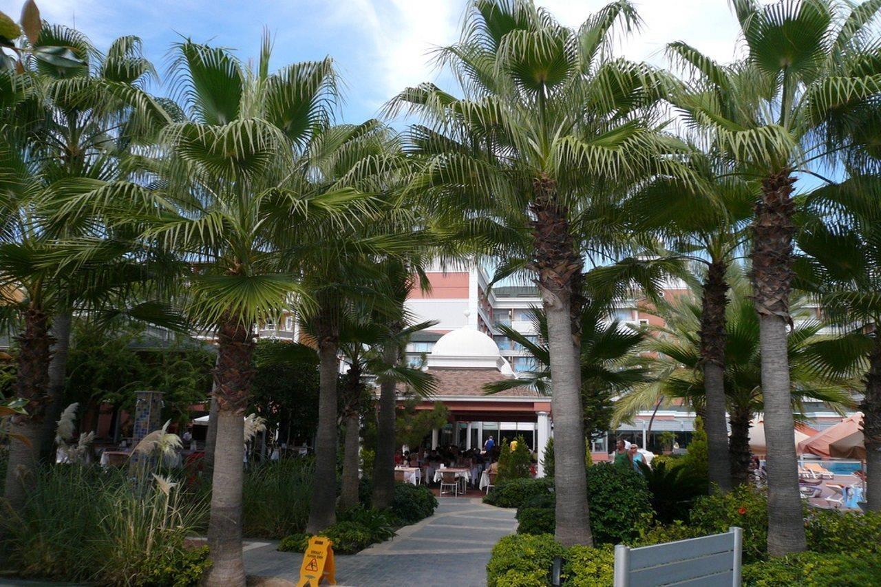 Insula Resort & Spa Alanya Zewnętrze zdjęcie